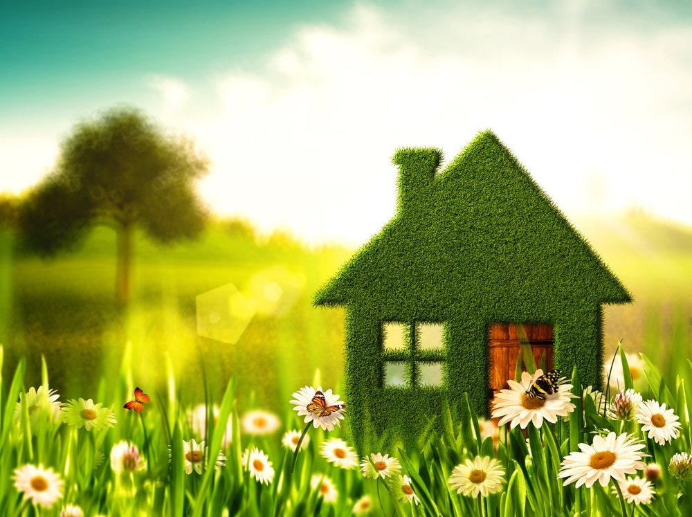 Energy Efficient Homes