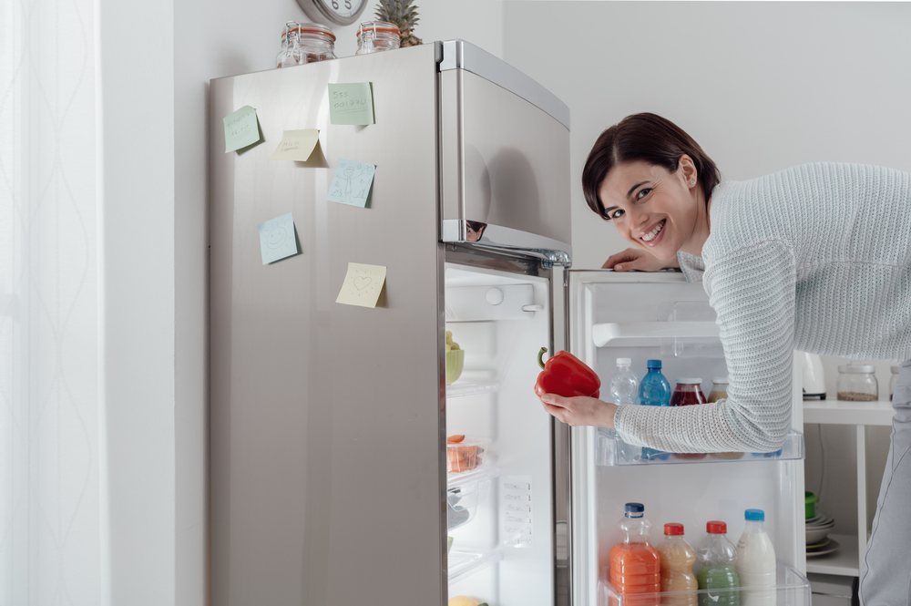 energy efficient refrigerators
