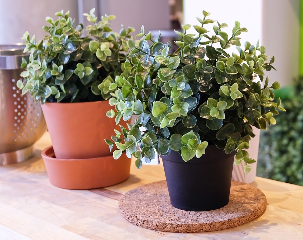 How to Clean Fake Plants