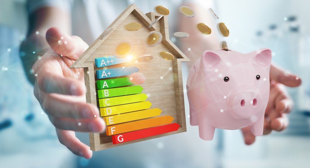 Energy Audit Cost