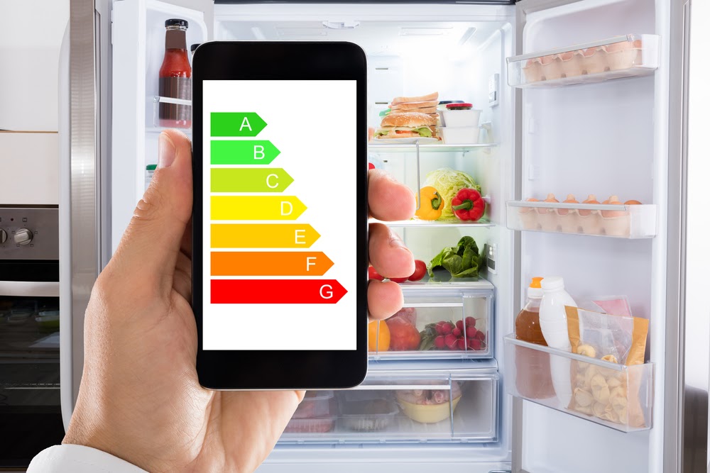The Best Energy Efficient Refrigerator Cools Down the Electricity Bill