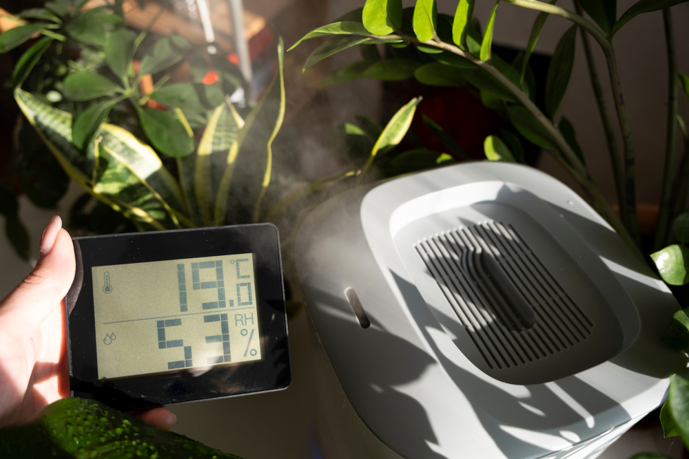 Best Energy-Efficient Dehumidifiers