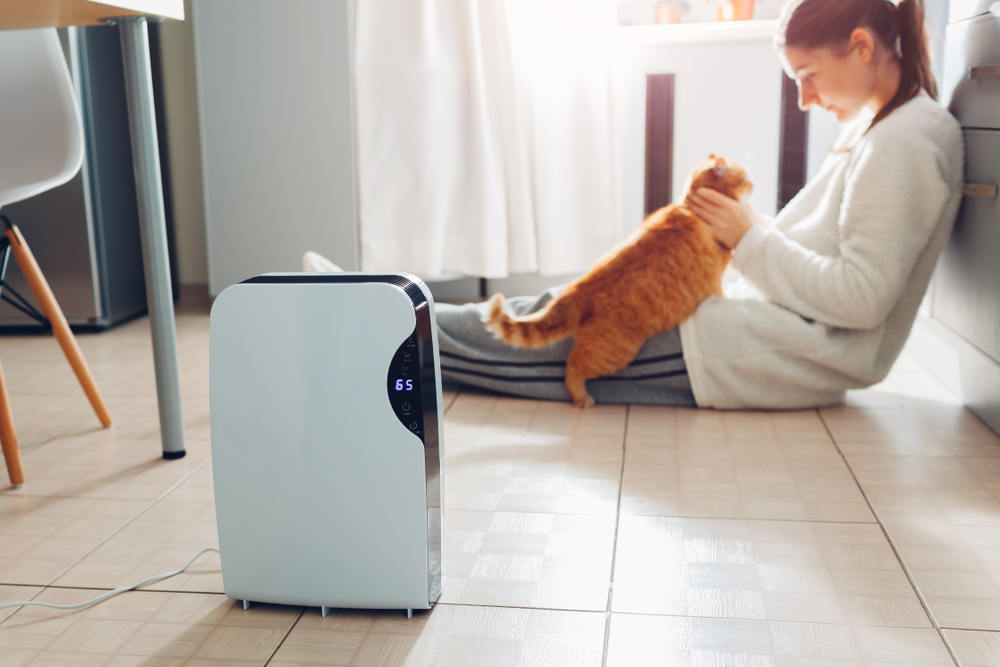 Best Energy-Efficient Dehumidifier