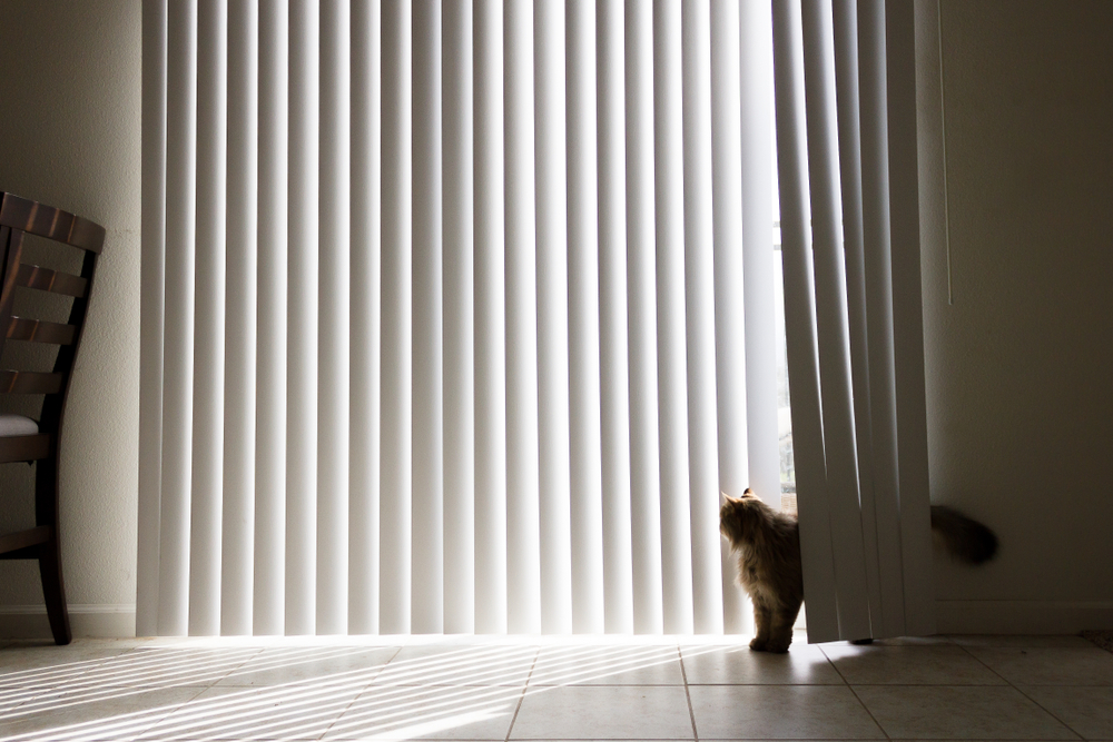 Energy-Efficient Window Treatments