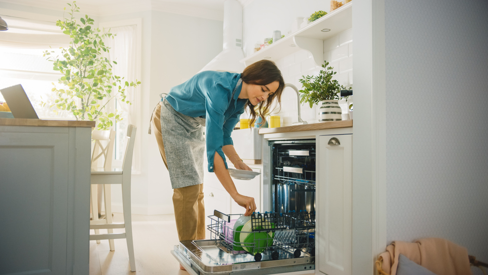 Do Energy-Efficient Appliances Really Save Money