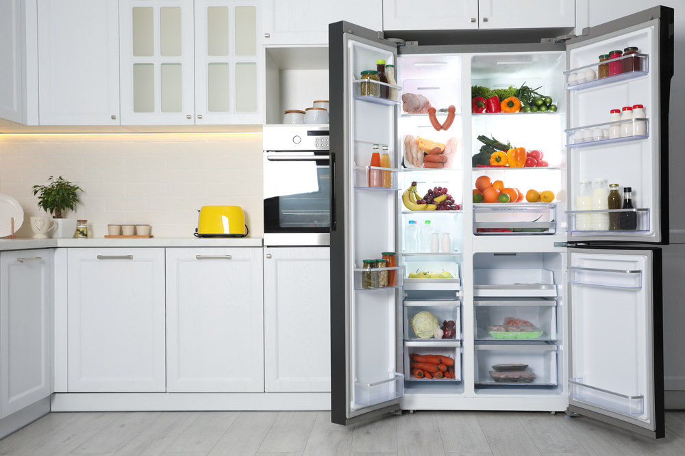 Do Energy-Efficient Appliances Really Save Money