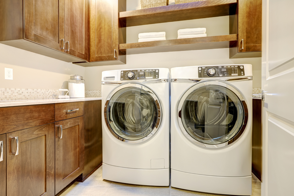 Do Energy-Efficient Appliances Really Save Money